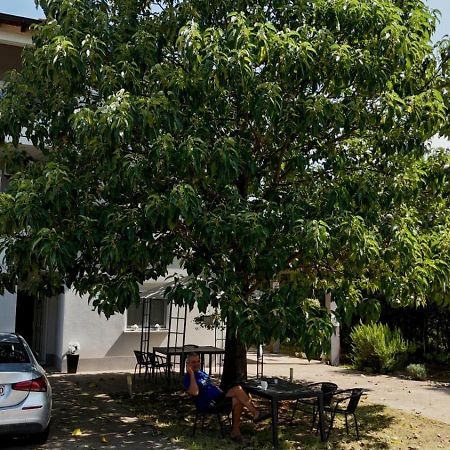 Ana Rooms Ljubuški Kültér fotó